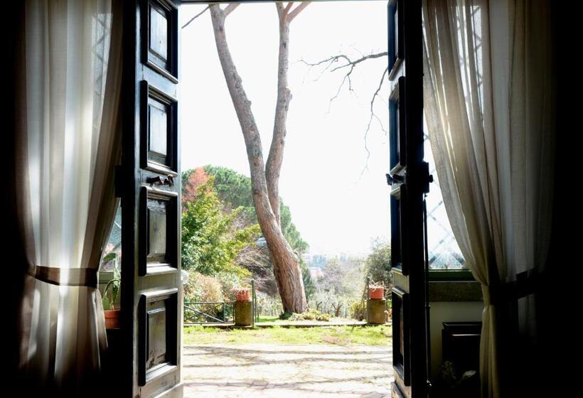 Vigna Dell Agrifoglio   Bed And Breakfast