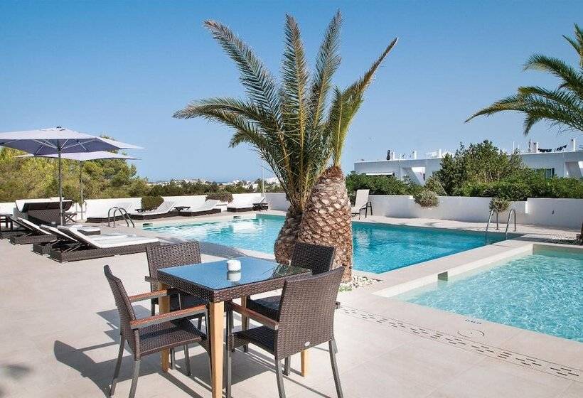 Apartamentos Sunset Oasis Ibiza   Only Adults