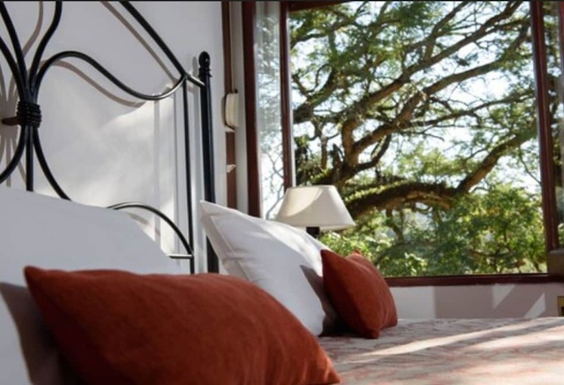 مسافرخانه Selva Montana