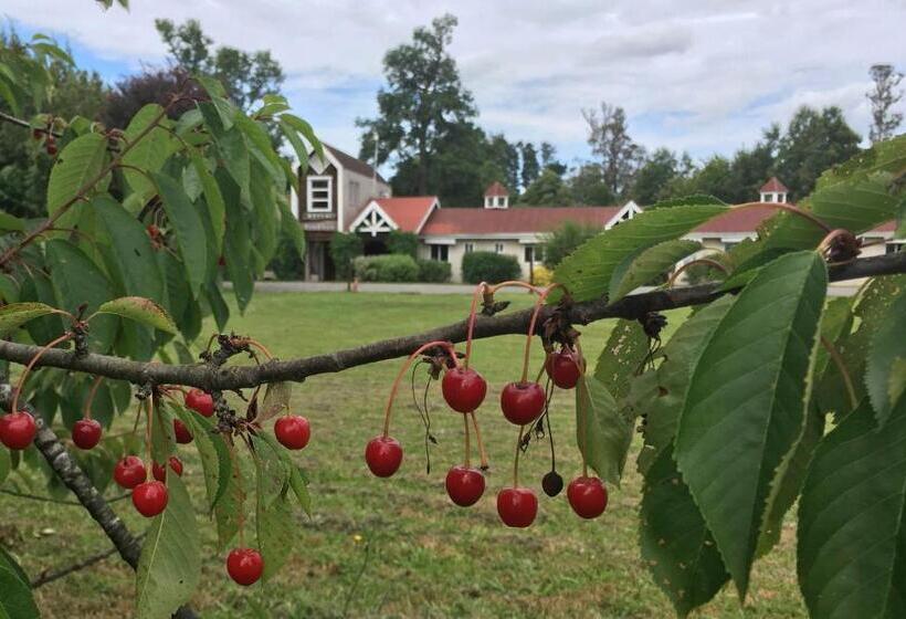 فندق فئة نجمة واحدة Truyaca