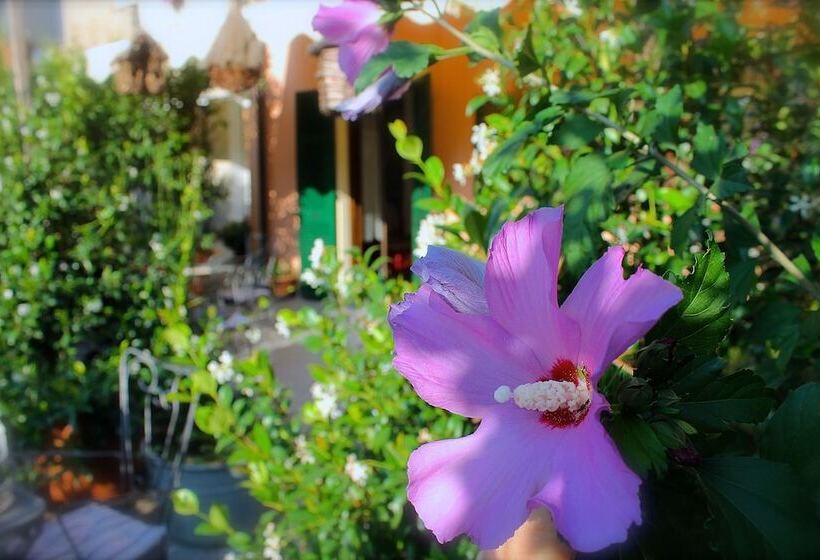 Отель Albergo Al Castello