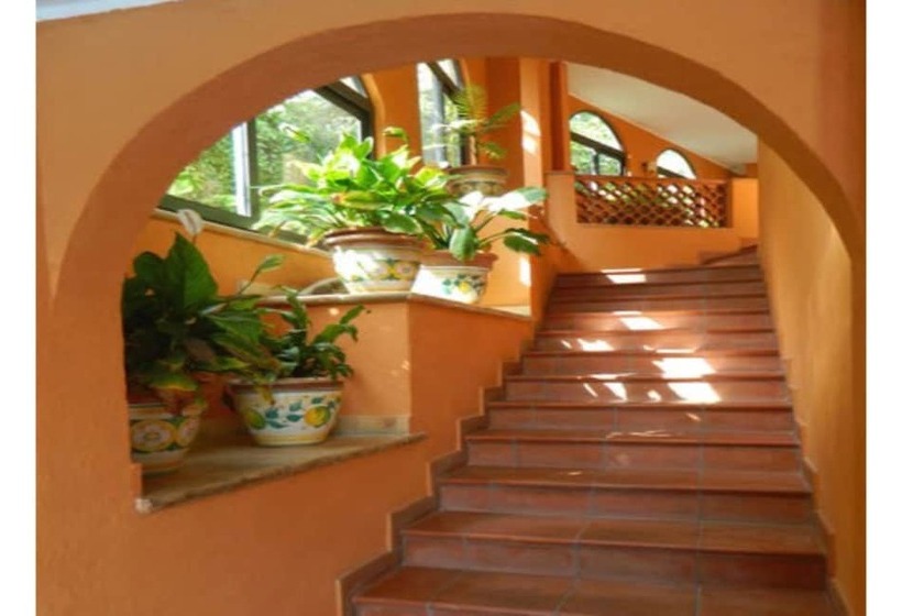 Отель Andromaco Palace