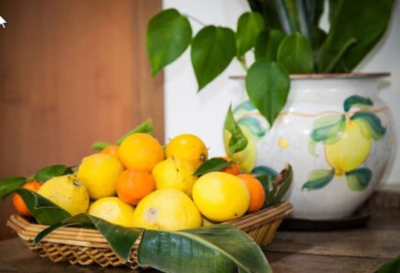 Отель Andromaco Palace