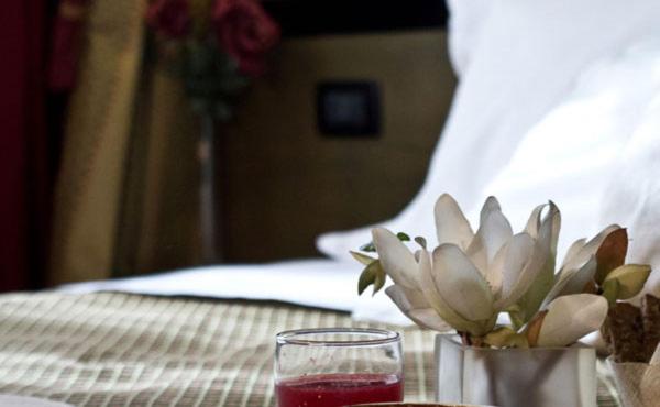 בית מלון כפרי Arcadia