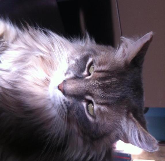 Отель Auberge Des Vieux Moulins Banaux