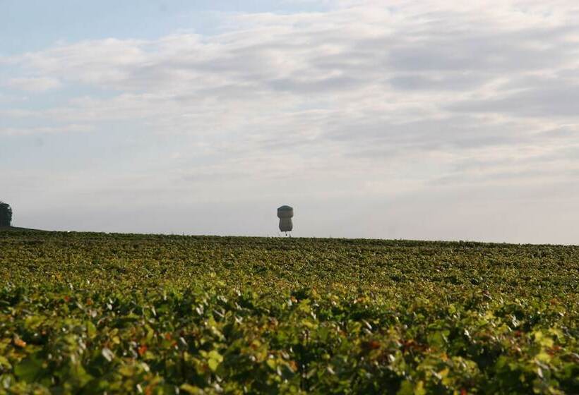 Отель Best Western Le Relais Du Vigneron