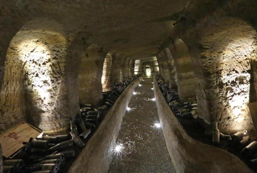 فندق Albergo Castiglione Langhe