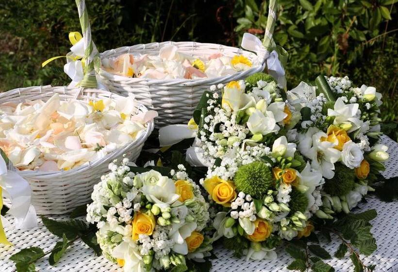 فندق Albergo Castiglione Langhe