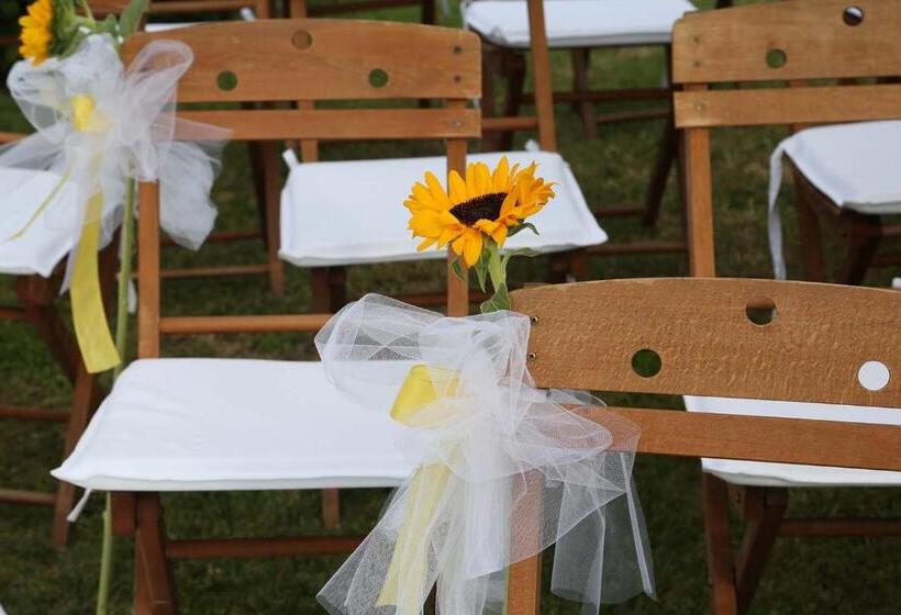 فندق Albergo Castiglione Langhe