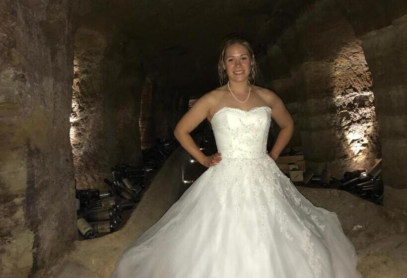 فندق Albergo Castiglione Langhe