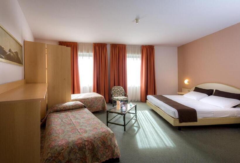 Отель Des Alpes