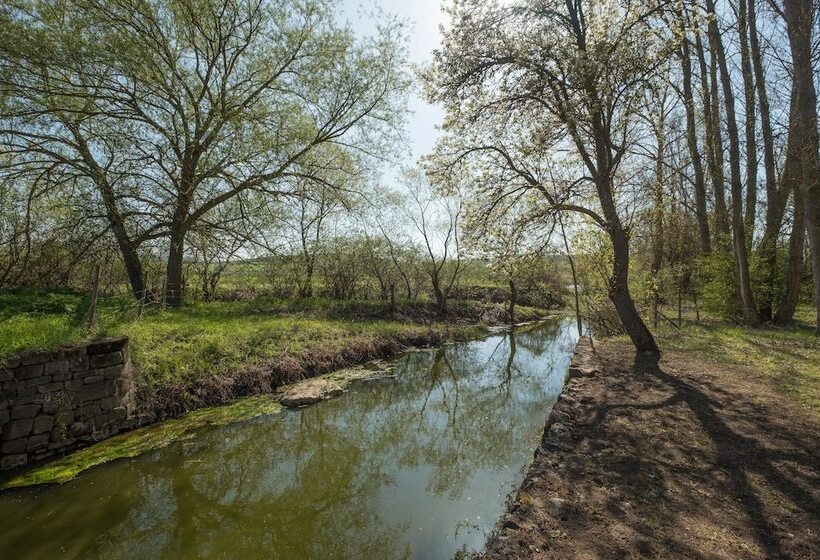 Отель El Molino De Salinas