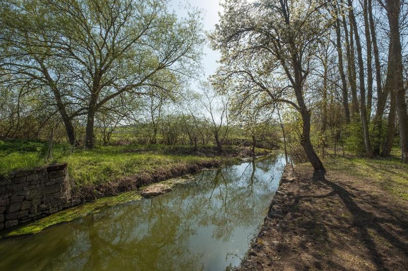 Отель El Molino De Salinas