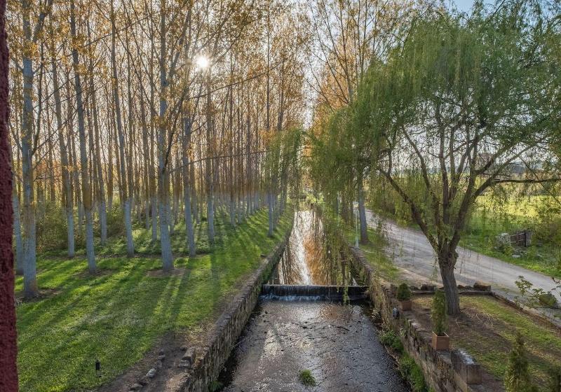 Отель El Molino De Salinas