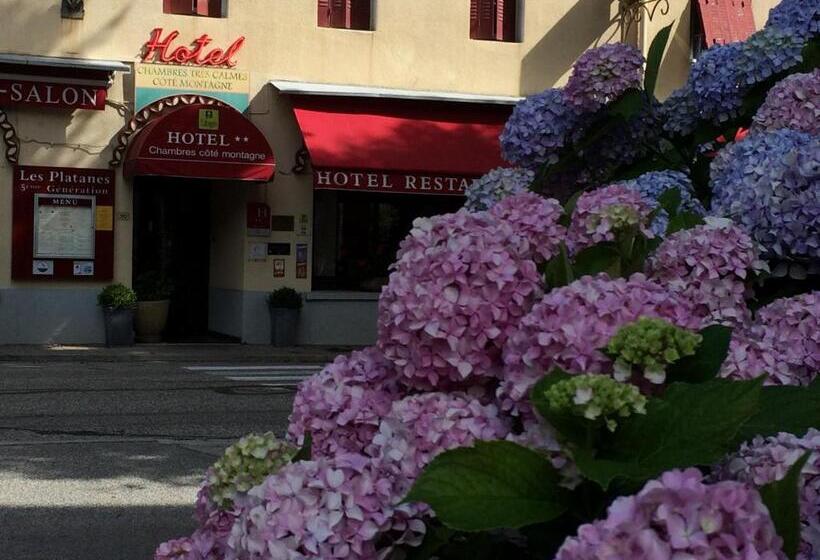 호텔 Et Appartements Les Platanes