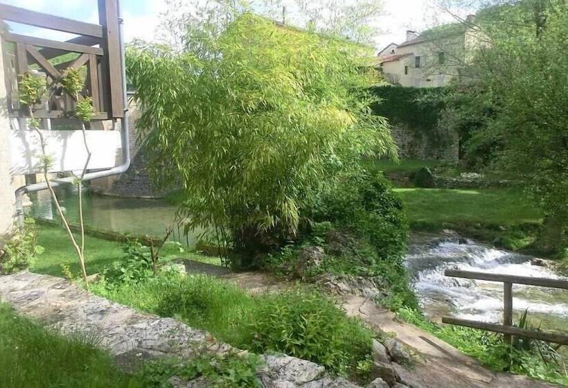 Отель Hôtel Spa La Truite Dorée