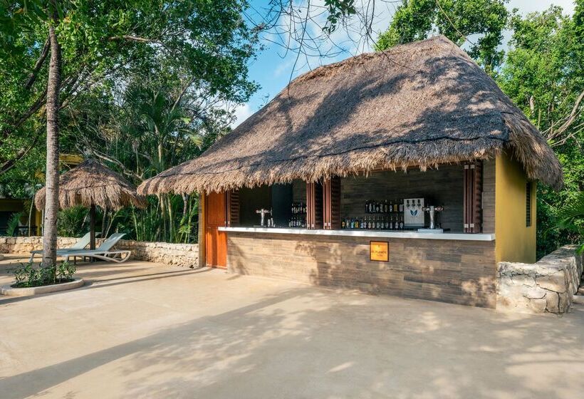 فندق Iberostar Selection Paraíso Maya Suites