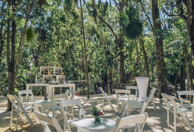 فندق Iberostar Waves Quetzal