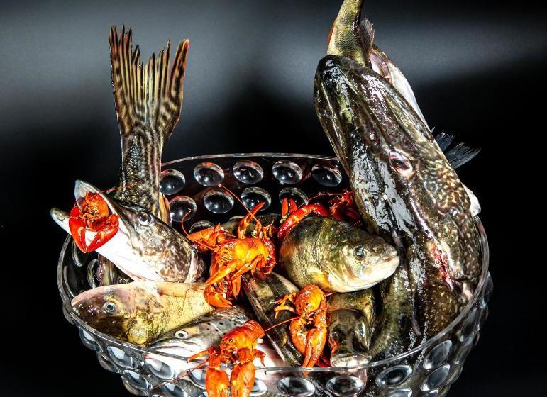 בית מלון כפרי Le Pré De La Cure