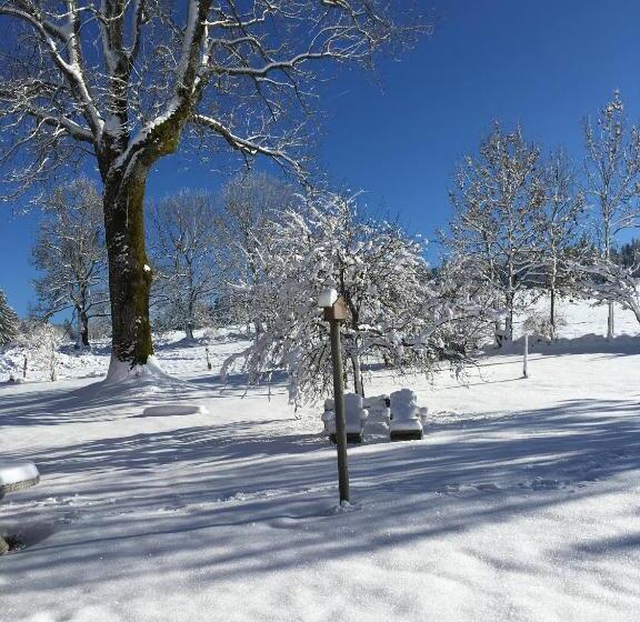 Отель Le Tillau