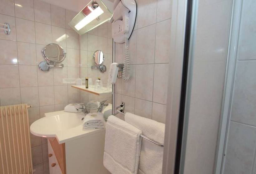 בית מלון כפרי Les Marronniers