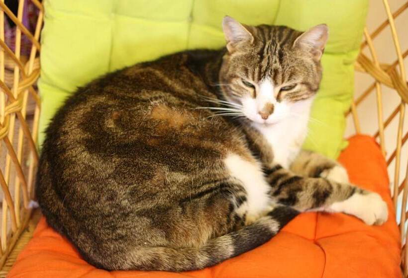 فندق Logis Auberge De La Fontaine