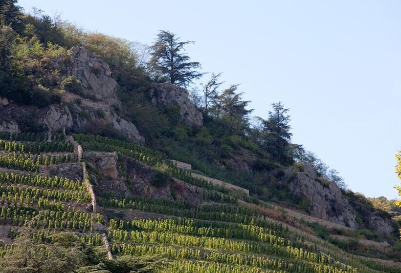 酒店 Logis Hôtel Restaurant Azalées