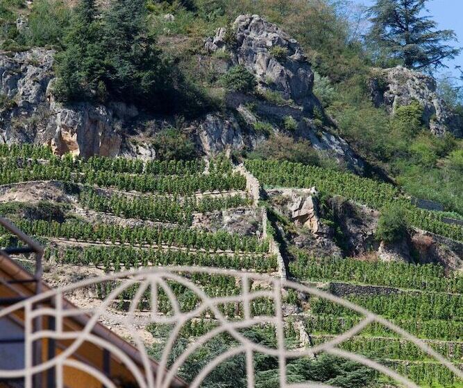 酒店 Logis Hôtel Restaurant Azalées