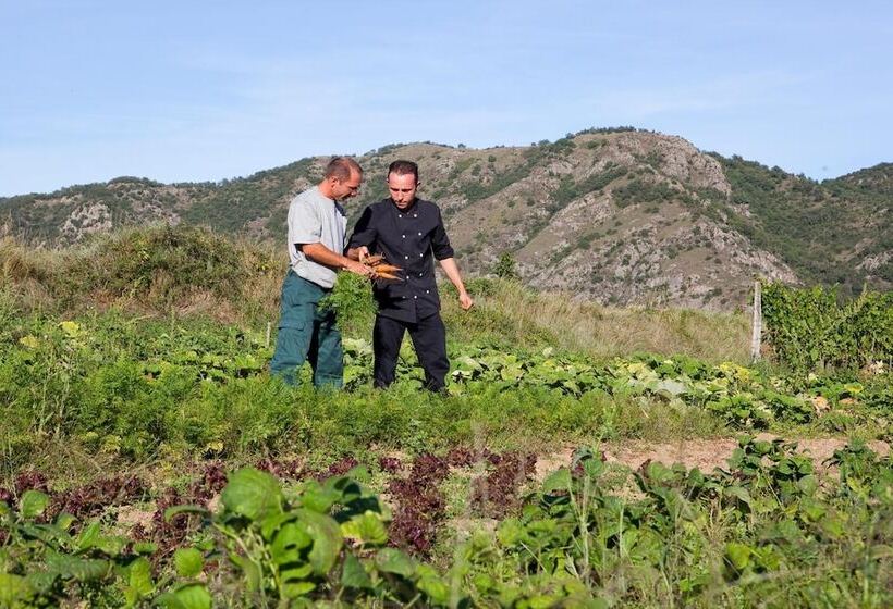 酒店 Logis Hôtel Restaurant Azalées