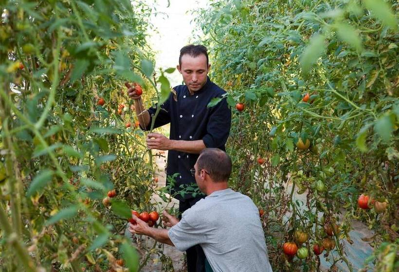 酒店 Logis Hôtel Restaurant Azalées