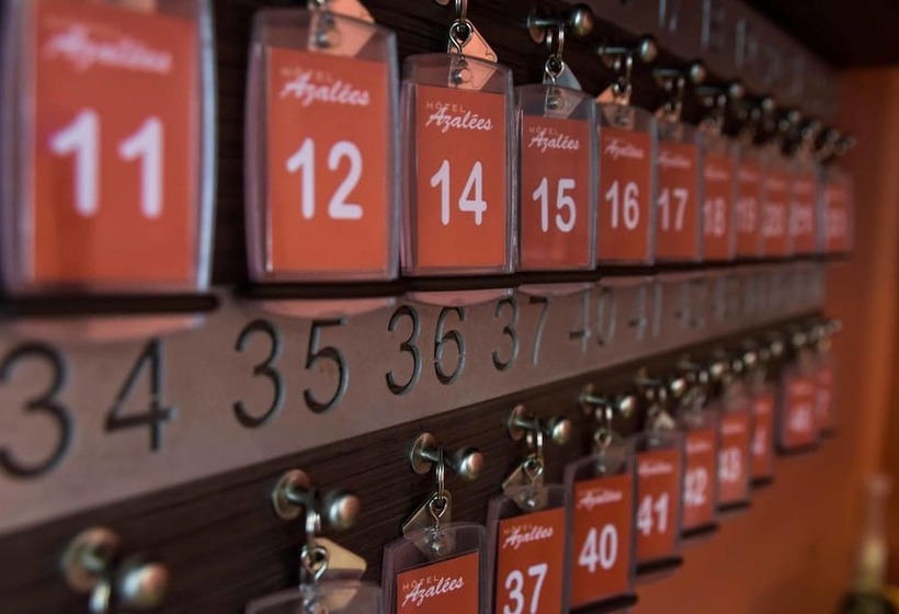 酒店 Logis Hôtel Restaurant Azalées