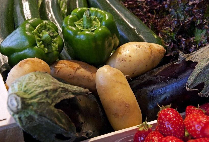 酒店 Logis Hôtel Restaurant Azalées