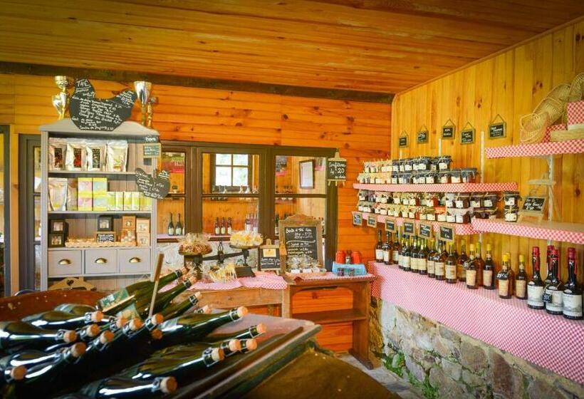 בית מלון כפרי Manoir De L Acherie