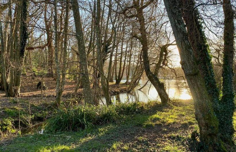 فندق Powdermills Country House