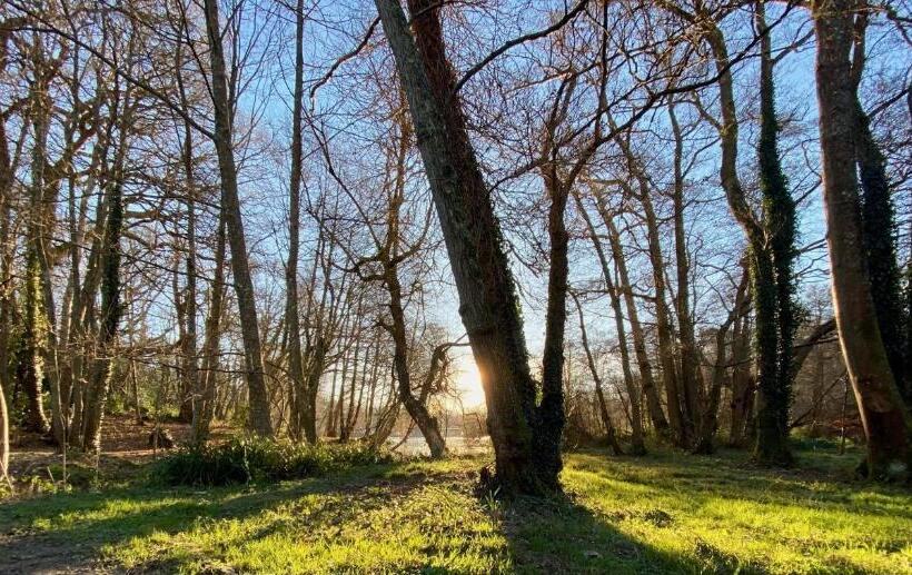 فندق Powdermills Country House