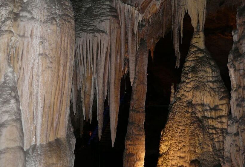 ホテル Hôtel Princess