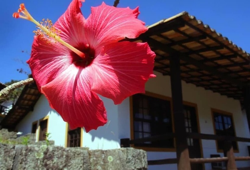 Pousada Cabanas Da Praia Mole & Hotel Praia Mole