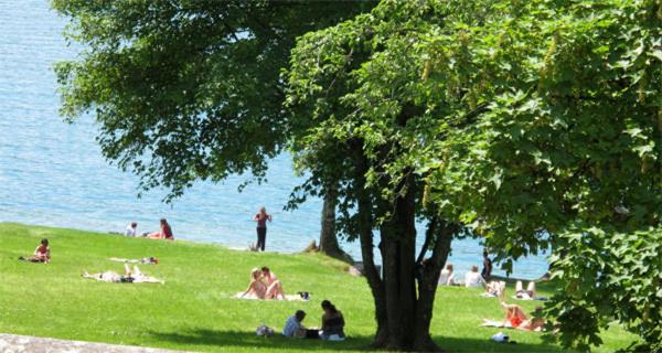 בית מלון כפרי Les Acacias Bellevue