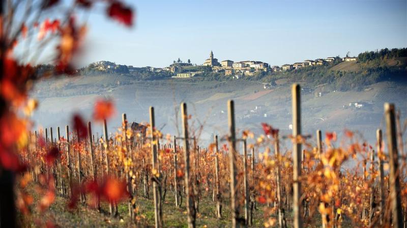 ホテル Ristorante I Castelli