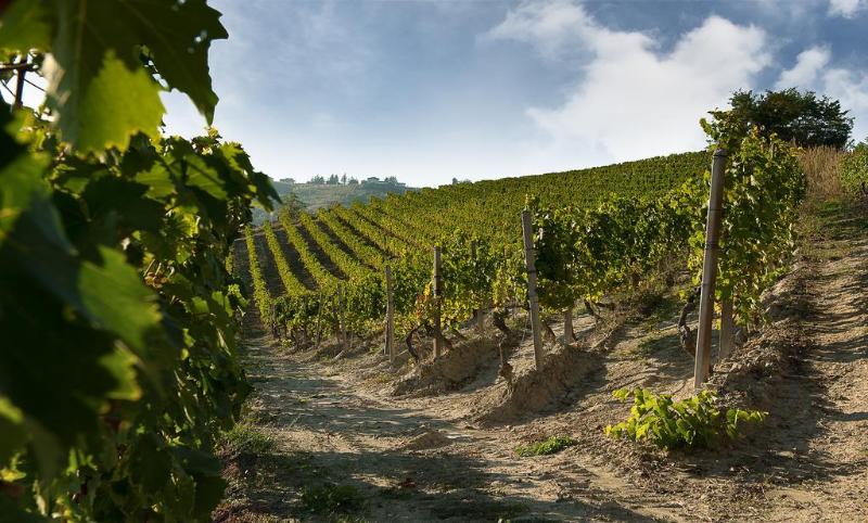 ホテル Ristorante I Castelli