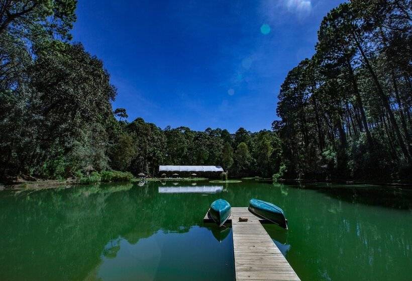 Rodavento Boutique Hotel & Spa