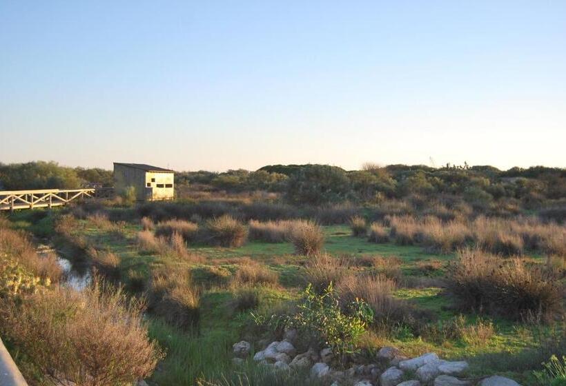 Отель Rompeolas Playa