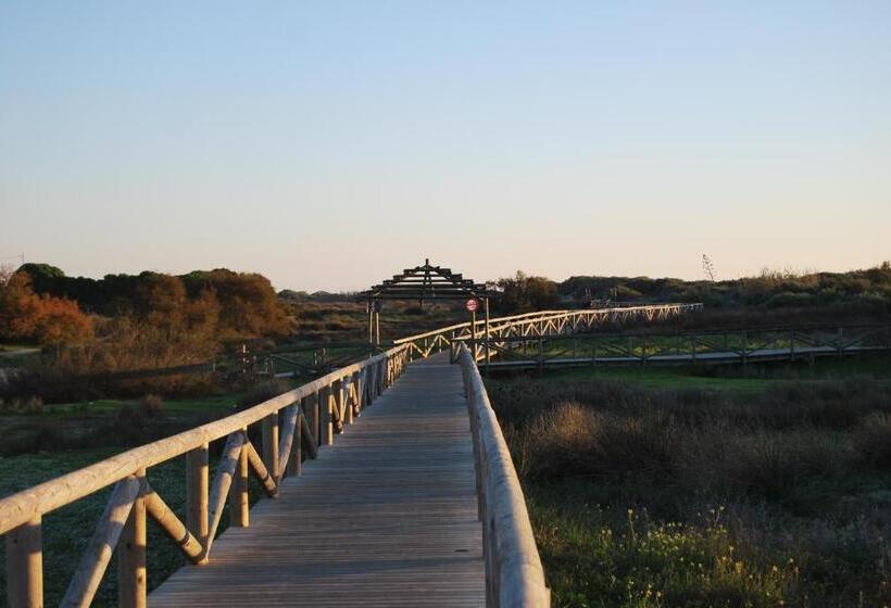 Отель Rompeolas Playa
