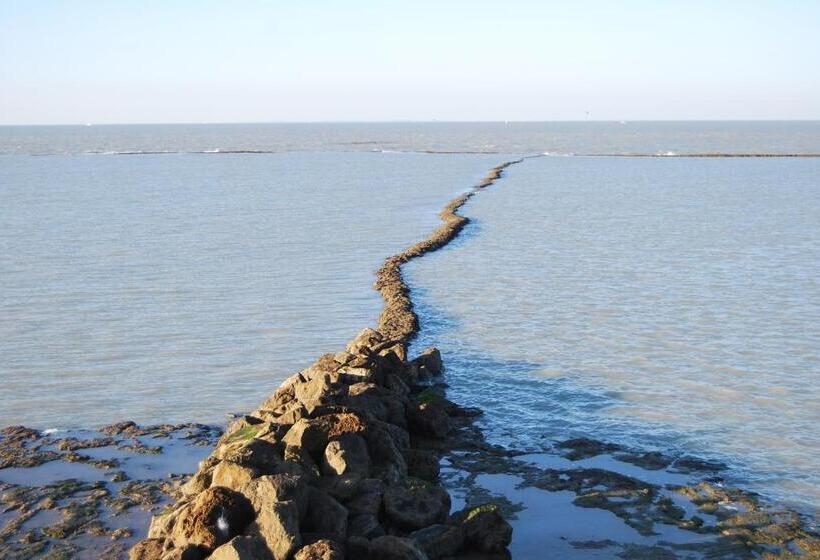 Отель Rompeolas Playa