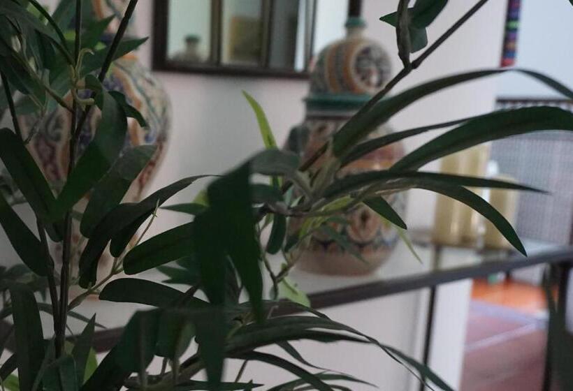 Отель Rompeolas Playa