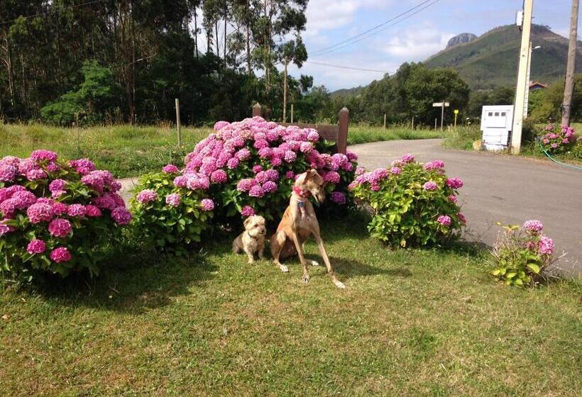 בית מלון כפרי Mirador Del Sella