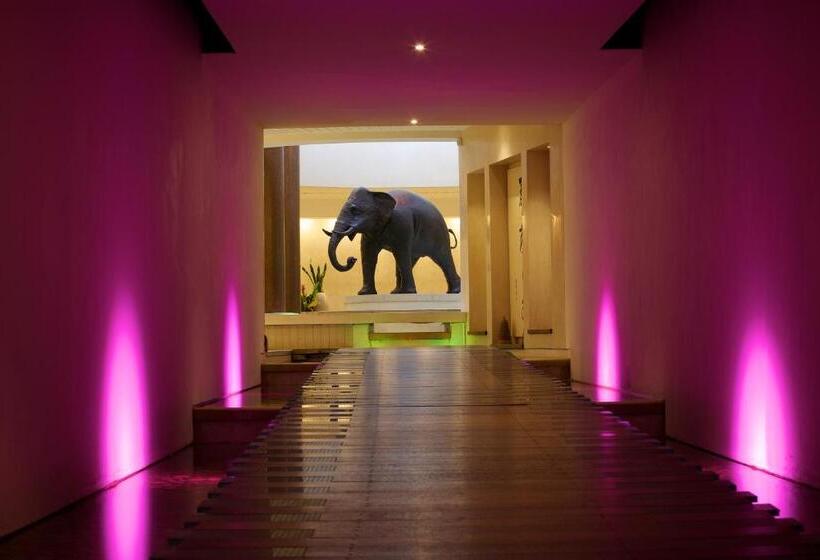 ホテル Seaham Hall And Serenity Spa