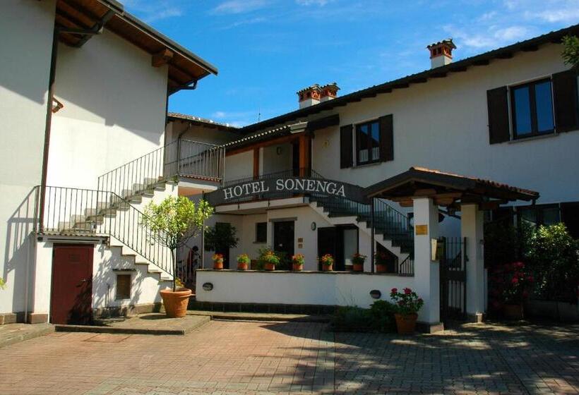 Отель Sonenga