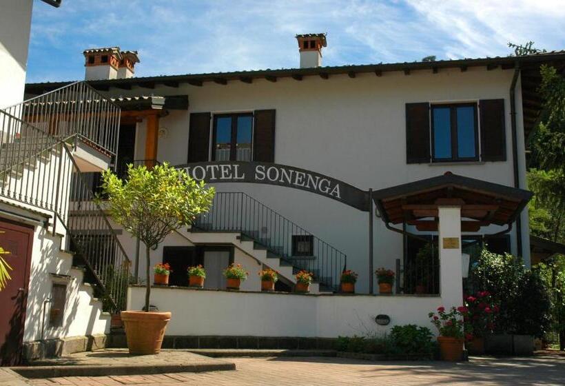 Отель Sonenga