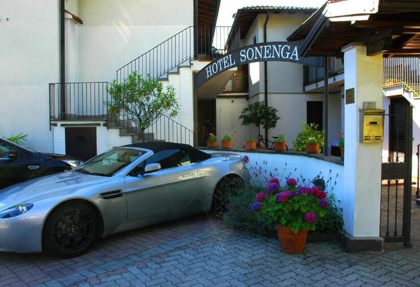 Отель Sonenga
